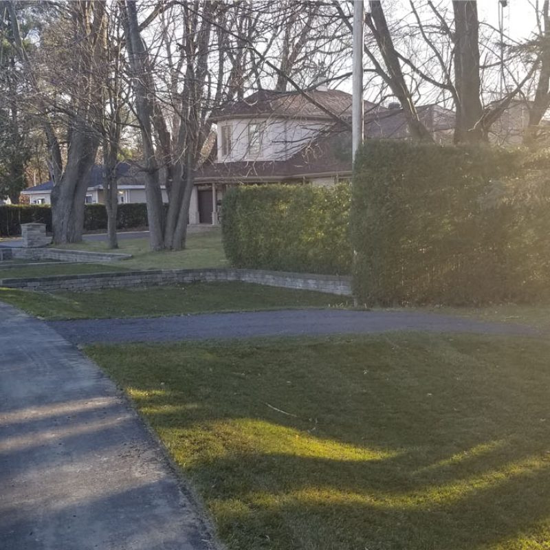 20241113_081017 - 24-11-2025 11-59-51 - 1500px