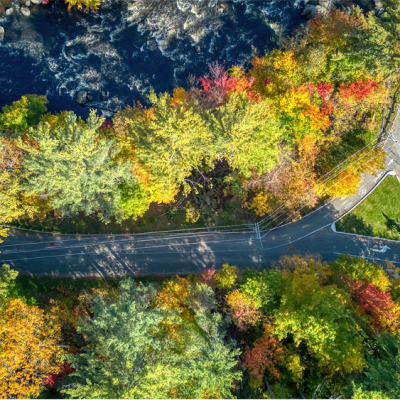 71w-rd_1000px