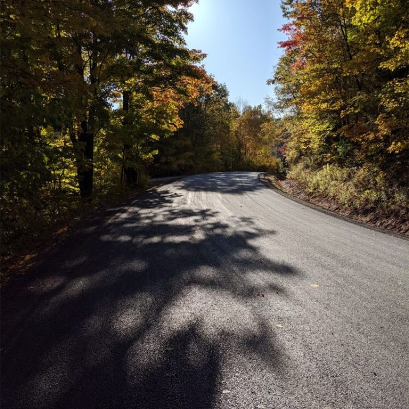 IMG_20191011_092247-1000px