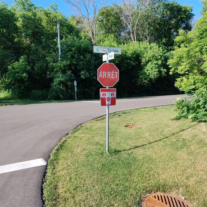 IMG_20250704_080935442-1000px